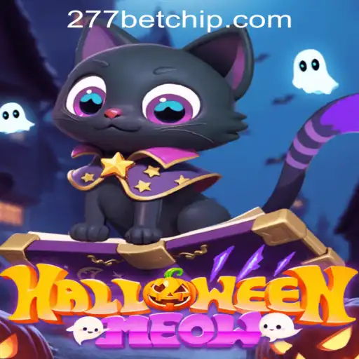 Enter the Enchanting World of HalloweenMeow: A Spooktacular Adventure